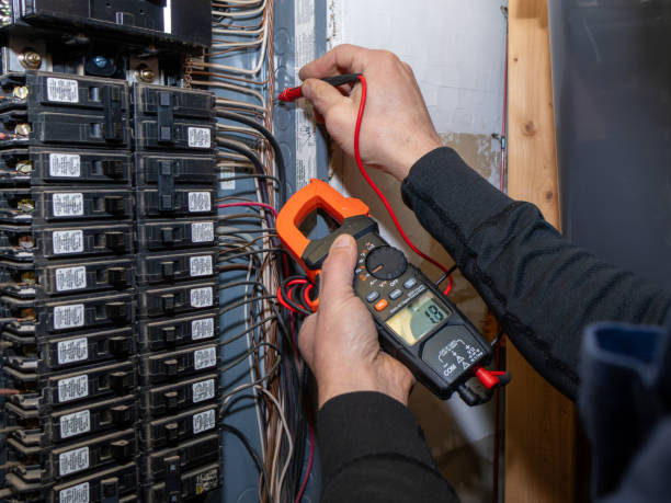 Best Residential Electrician Services  in Hanamaulu, HI